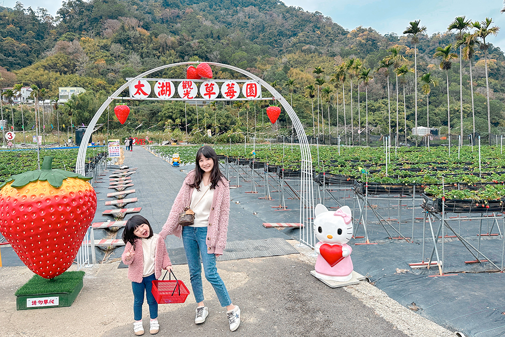 太湖觀光草莓園 | 苗栗大湖採草莓推薦！腹地廣大草莓多~地面/高架草莓都有(門口就是停車場假日也方便停車)