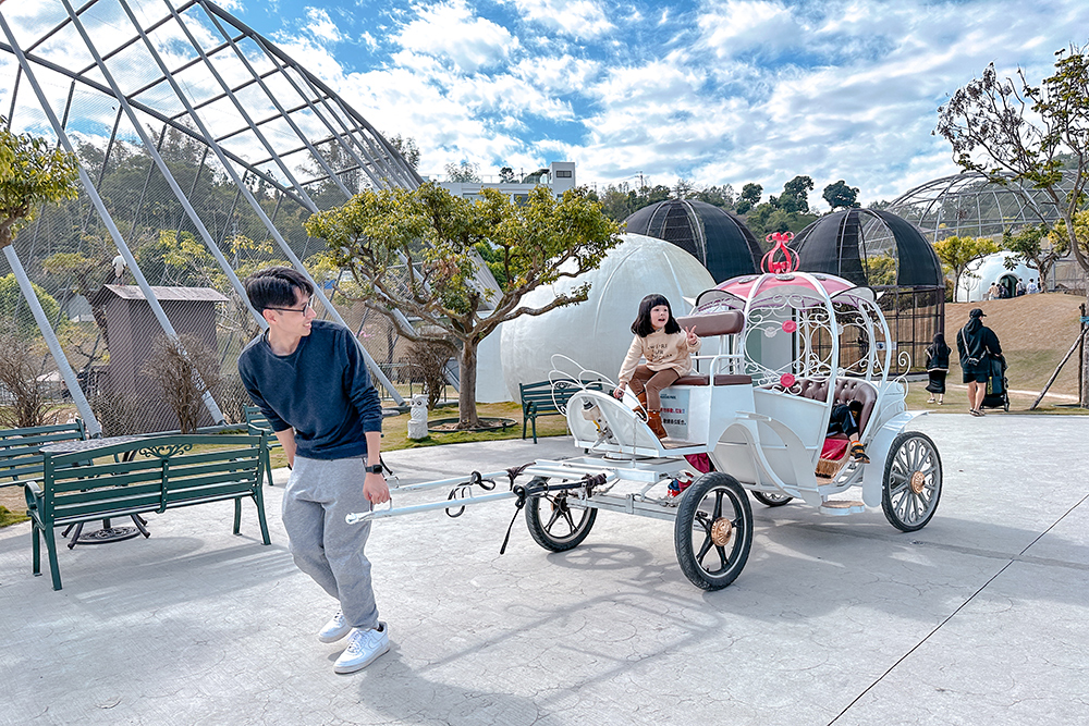 九九峰動物樂園│亞洲最大鳥類主題樂園。侏儸紀恐龍小火車.感受被鸚鵡包圍的刺激.免費騎小馬.餵羊駝/南投草屯親子旅遊景點