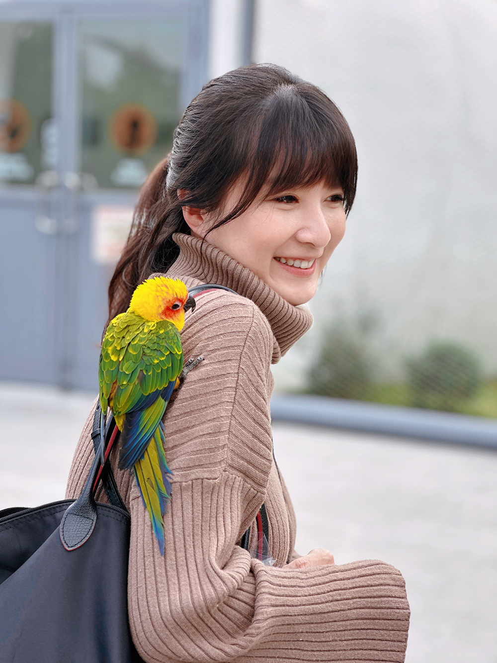 九九峰動物樂園│亞洲最大鳥類主題樂園。侏儸紀恐龍小火車.感受被鸚鵡包圍的刺激.免費騎小馬.餵羊駝/南投草屯親子旅遊景點