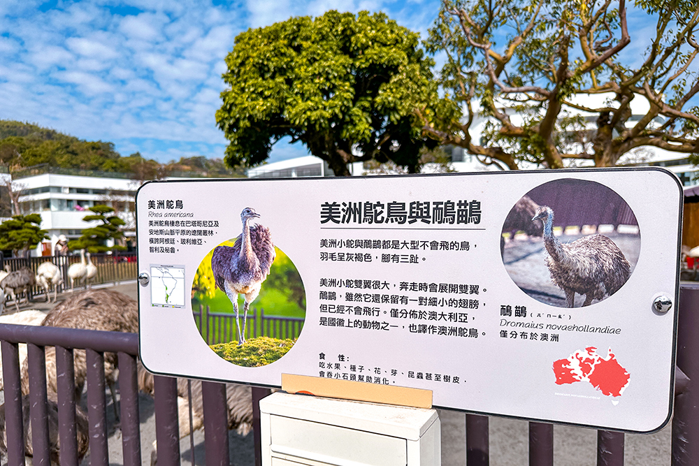 九九峰動物樂園│亞洲最大鳥類主題樂園。侏儸紀恐龍小火車.感受被鸚鵡包圍的刺激.免費騎小馬.餵羊駝/南投草屯親子旅遊景點