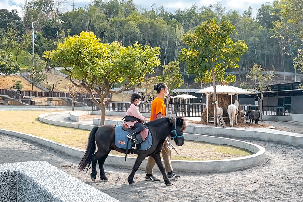 九九峰動物樂園│亞洲最大鳥類主題樂園。侏儸紀恐龍小火車.感受被鸚鵡包圍的刺激.免費騎小馬.餵羊駝/南投草屯親子旅遊景點