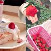【2026 苗栗大湖採草莓】赤坡草莓園：高架有機草莓 x 日系文青咖啡廳，網美下午茶甜點推薦！