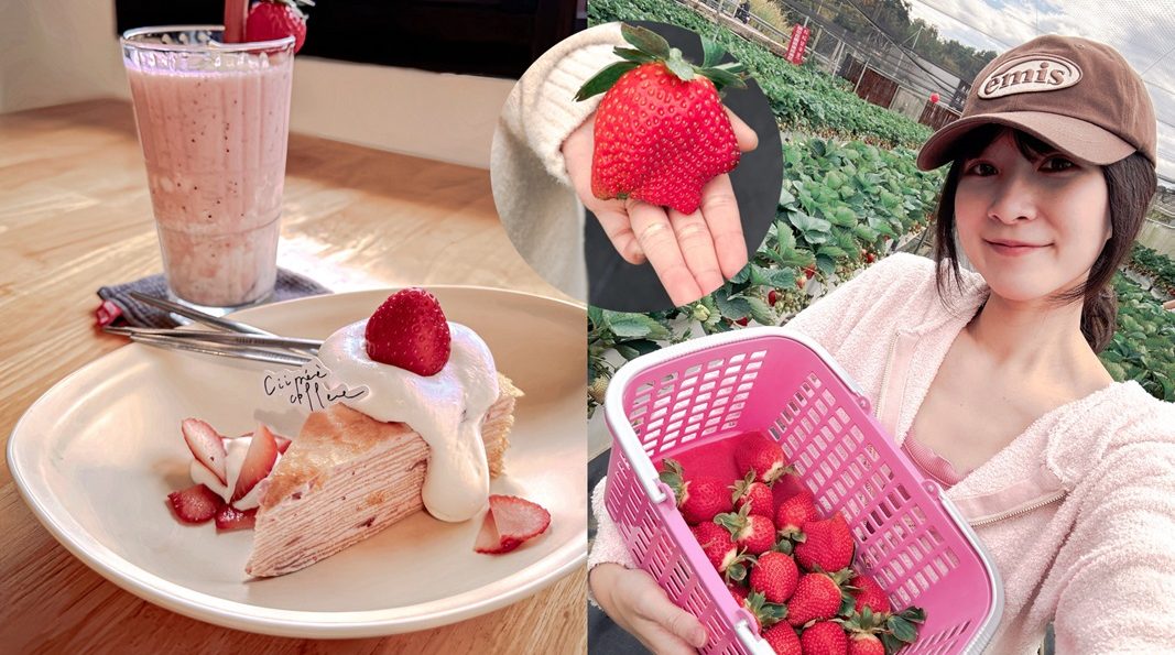 【2026 苗栗大湖採草莓】赤坡草莓園：高架有機草莓 x 日系文青咖啡廳，網美下午茶甜點推薦！