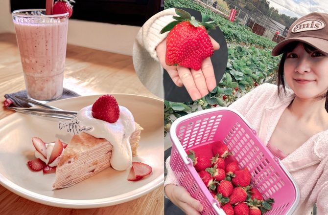 【2026 苗栗大湖採草莓】赤坡草莓園：高架有機草莓 x 日系文青咖啡廳，網美下午茶甜點推薦！