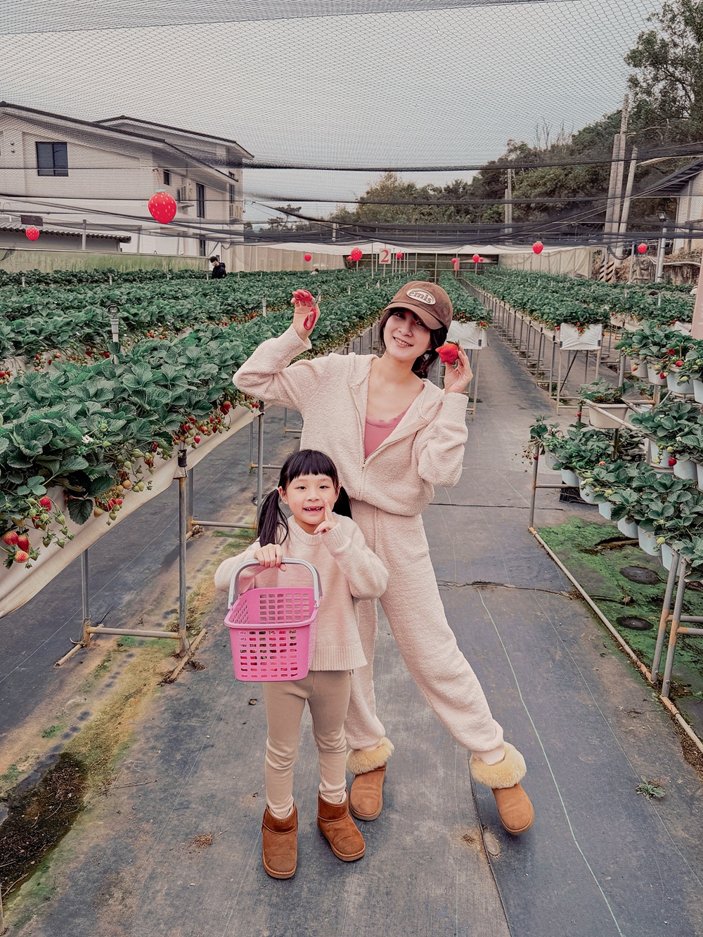 【2026 苗栗大湖採草莓】赤坡草莓園：高架有機草莓 x 日系文青咖啡廳，網美下午茶甜點推薦！